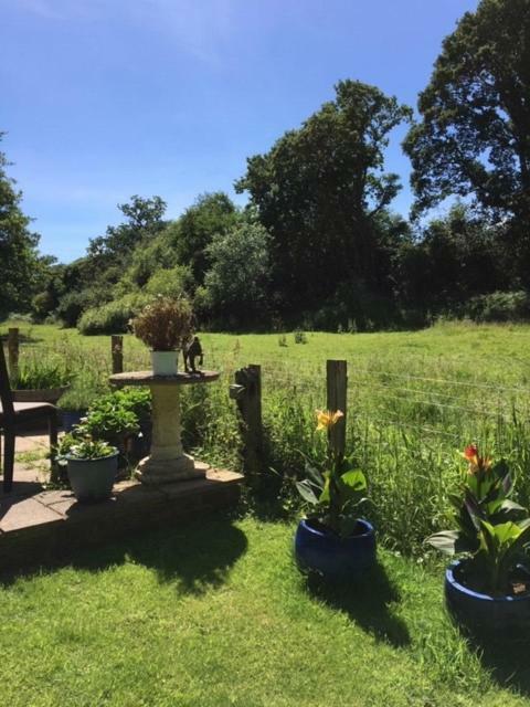 Bridge Cottage Midhurst Luaran gambar